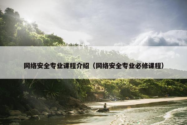 网络安全专业课程介绍（网络安全专业必修课程）