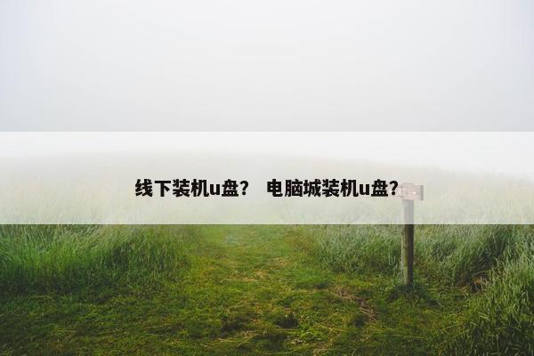 线下装机u盘？ 电脑城装机u盘？