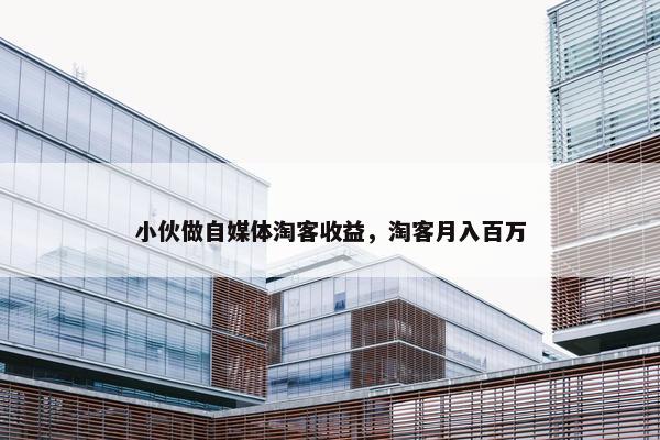 小伙做自媒体淘客收益，淘客月入百万