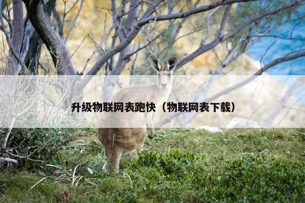 升级物联网表跑快（物联网表下载）