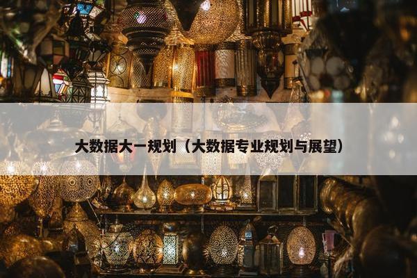 大数据大一规划（大数据专业规划与展望）