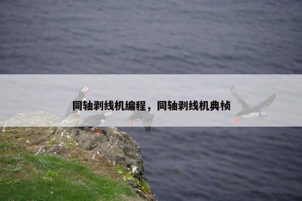 同轴剥线机编程，同轴剥线机典桢