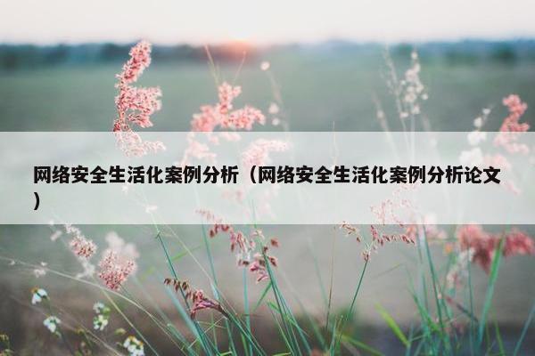 网络安全生活化案例分析（网络安全生活化案例分析论文）
