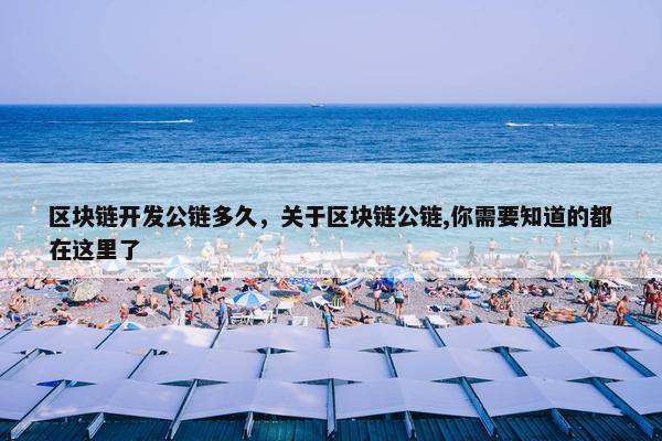 区块链开发公链多久，关于区块链公链,你需要知道的都在这里了