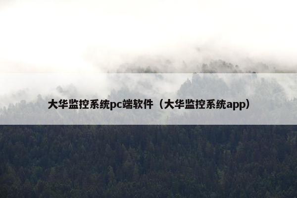 大华监控系统pc端软件（大华监控系统app）