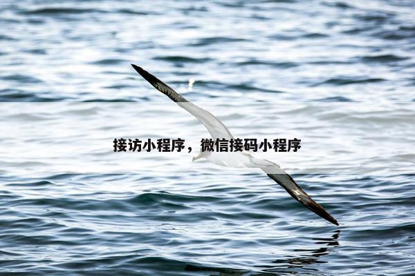 接访小程序，微信接码小程序