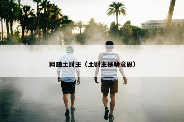 网赚土财主（土财主是啥意思）