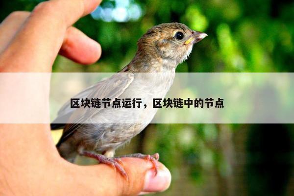 区块链节点运行，区块链中的节点