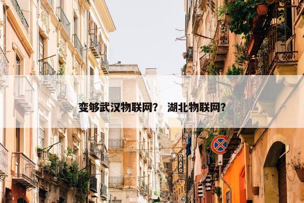 变够武汉物联网？ 湖北物联网？