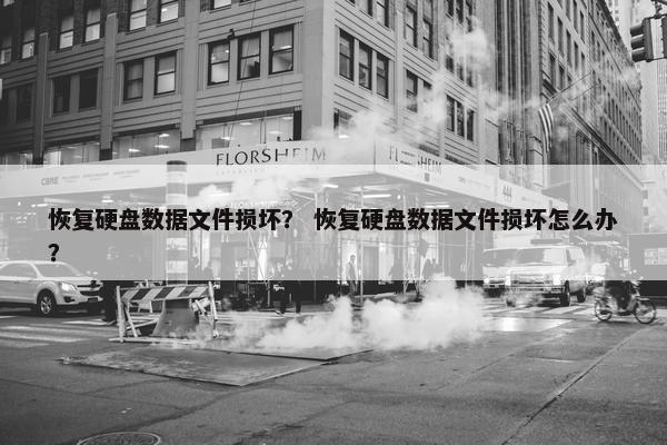 恢复硬盘数据文件损坏？ 恢复硬盘数据文件损坏怎么办？