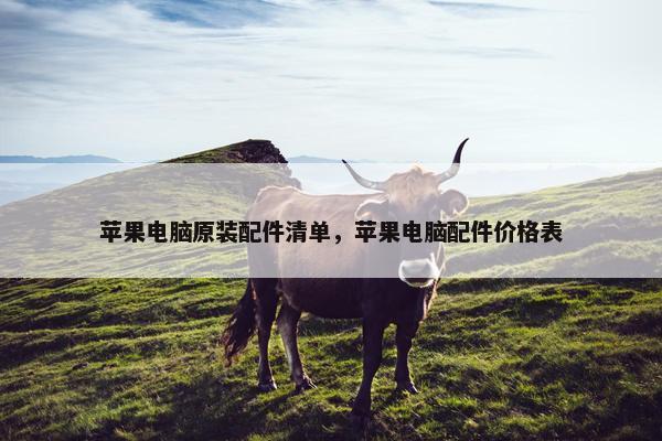 苹果电脑原装配件清单，苹果电脑配件价格表