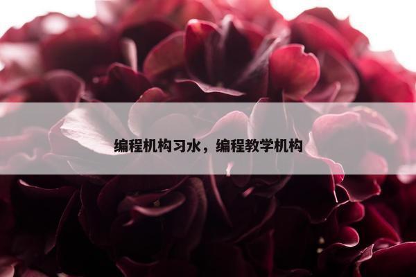 编程机构习水，编程教学机构