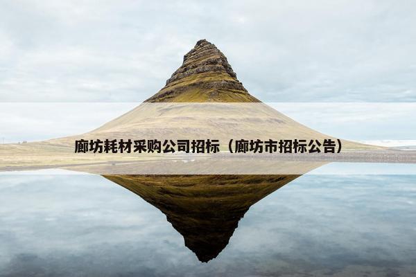 廊坊耗材采购公司招标（廊坊市招标公告）