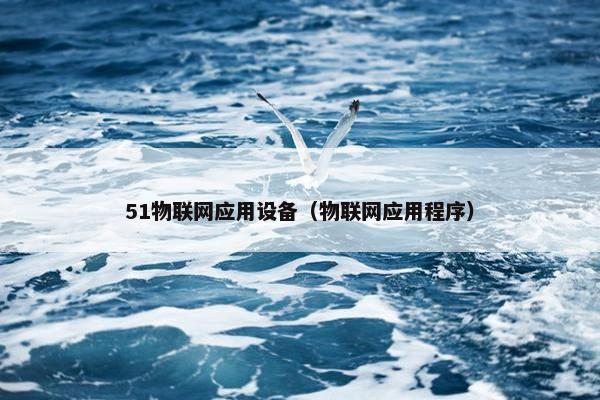 51物联网应用设备（物联网应用程序）