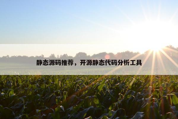 静态源码推荐，开源静态代码分析工具