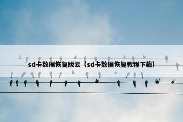 sd卡数据恢复版云（sd卡数据恢复教程下载）