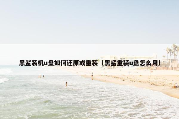 黑鲨装机u盘如何还原或重装（黑鲨重装u盘怎么用）