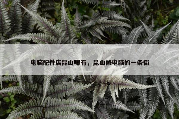 电脑配件店昆山哪有，昆山修电脑的一条街