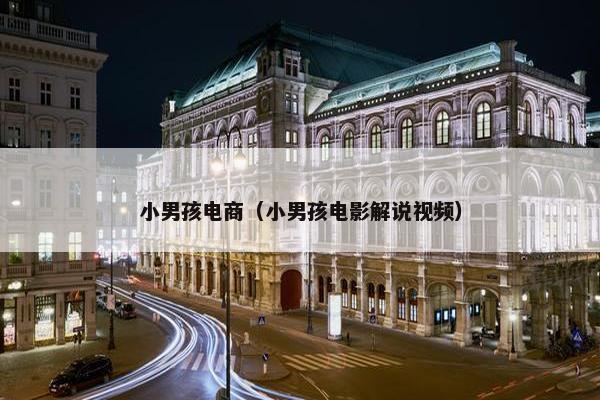 小男孩电商（小男孩电影解说视频）