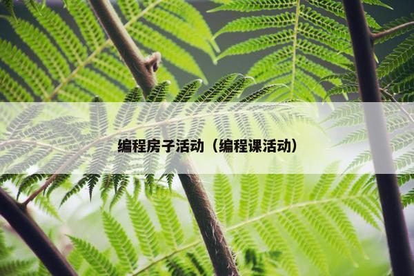 编程房子活动（编程课活动）