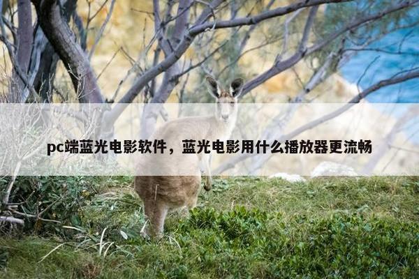 pc端蓝光电影软件，蓝光电影用什么播放器更流畅