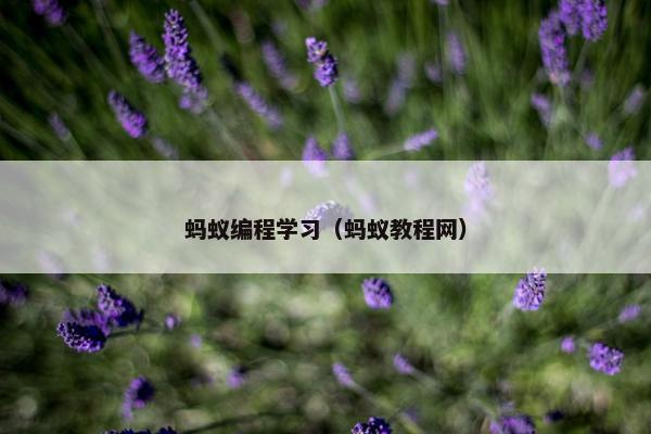 蚂蚁编程学习（蚂蚁教程网）