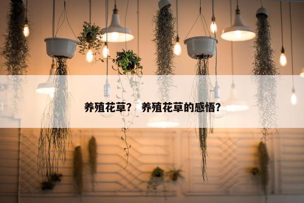 养殖花草？ 养殖花草的感悟？