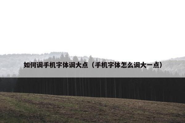 如何调手机字体调大点（手机字体怎么调大一点）