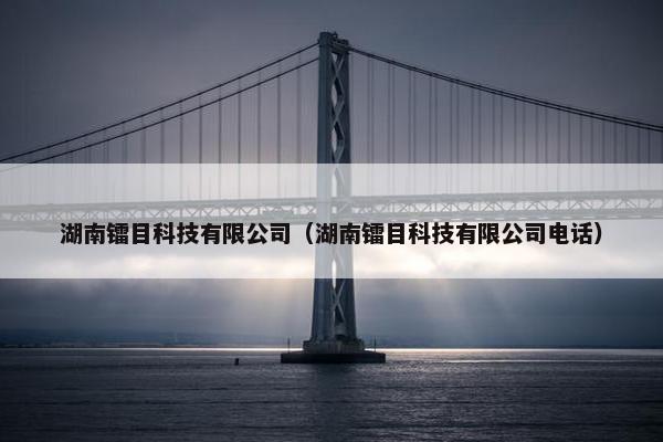 湖南镭目科技有限公司（湖南镭目科技有限公司电话）