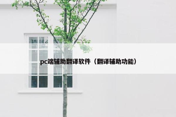 pc端辅助翻译软件（翻译辅助功能）