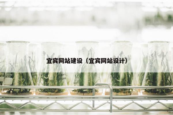宜宾网站建设（宜宾网站设计）