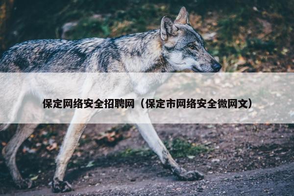 保定网络安全招聘网（保定市网络安全微网文）