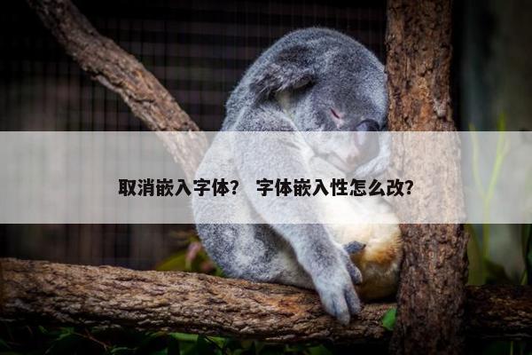 取消嵌入字体？ 字体嵌入性怎么改？