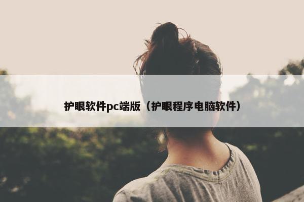护眼软件pc端版（护眼程序电脑软件）