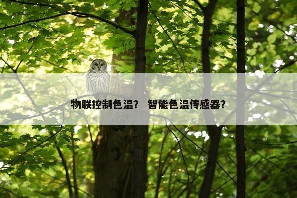 物联控制色温？ 智能色温传感器？