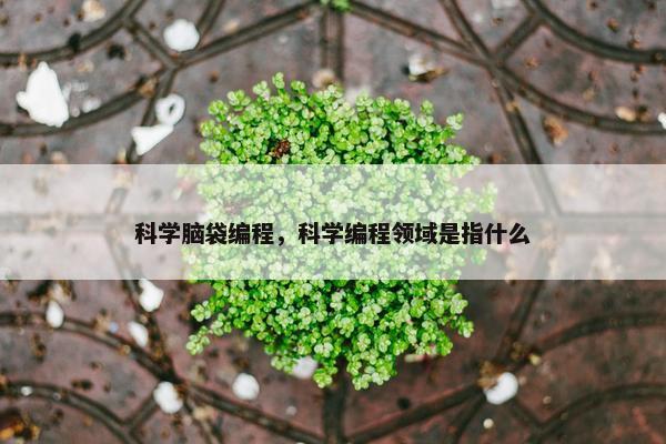 科学脑袋编程，科学编程领域是指什么