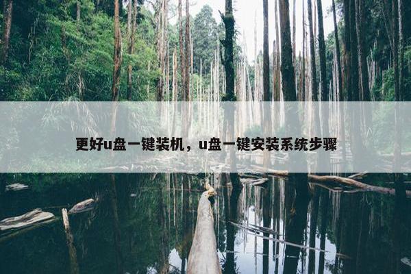 更好u盘一键装机，u盘一键安装系统步骤