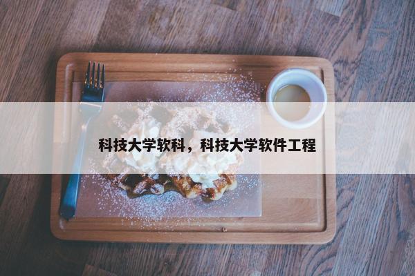 科技大学软科，科技大学软件工程