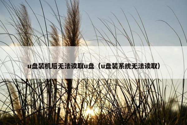 u盘装机后无法读取u盘（u盘装系统无法读取）