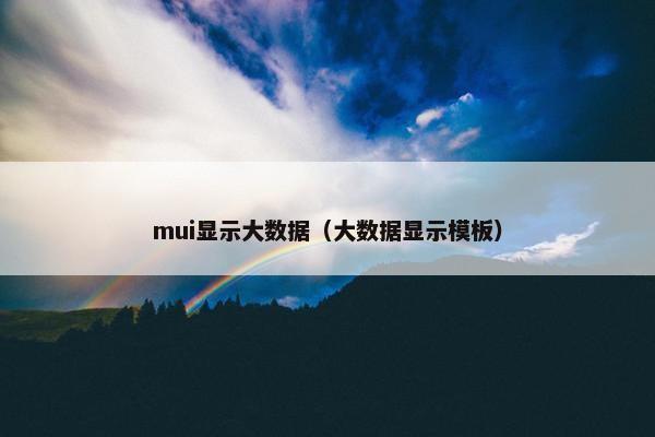 mui显示大数据（大数据显示模板）