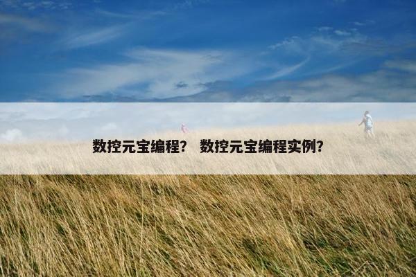 数控元宝编程？ 数控元宝编程实例？