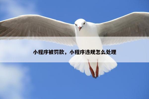 小程序被罚款，小程序违规怎么处理
