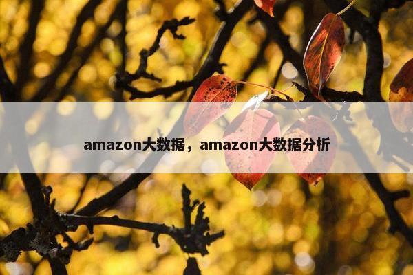 amazon大数据，amazon大数据分析