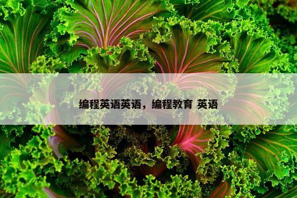 编程英语英语，编程教育 英语