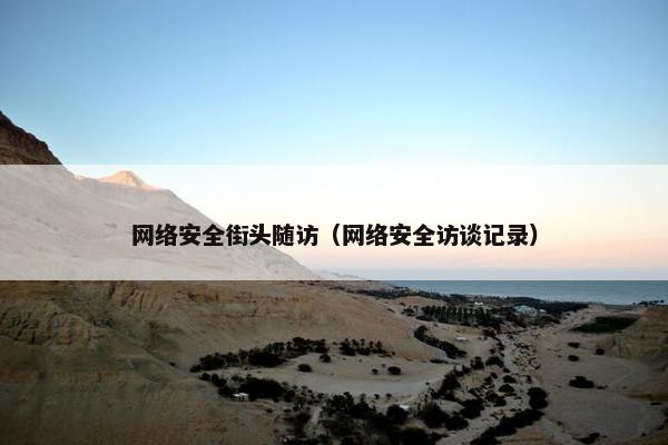 网络安全街头随访（网络安全访谈记录）