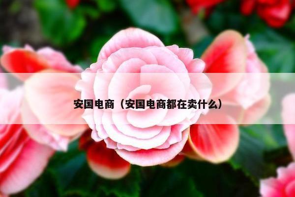 安国电商（安国电商都在卖什么）