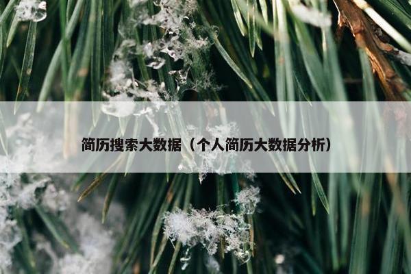 简历搜索大数据（个人简历大数据分析）