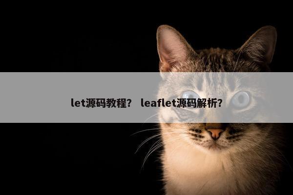 let源码教程？ leaflet源码解析？