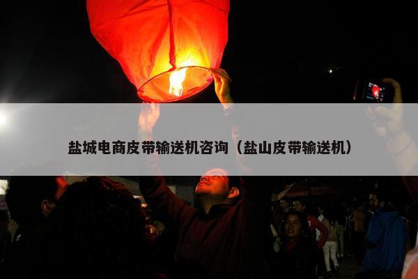 盐城电商皮带输送机咨询（盐山皮带输送机）