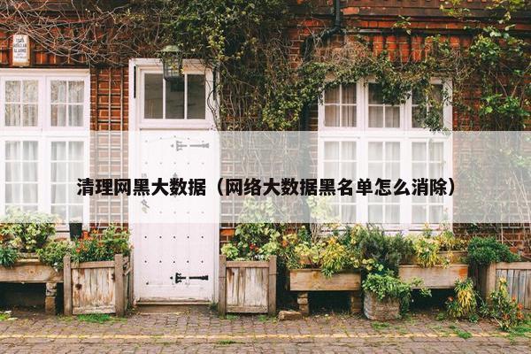 清理网黑大数据（网络大数据黑名单怎么消除）
